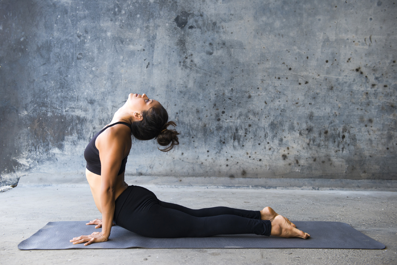 Yoga Poses die Dieren Nabootsen